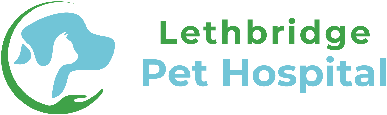 Lethbridge Pet Hospital